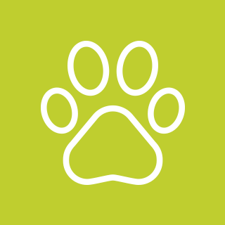 Paw print icon